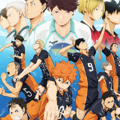 Haikyuu Licensed Products